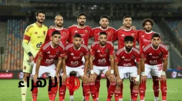 قرار جريء من الإدارة.. الأهلي يحسم مصير نجم الفريق ومفاجأة في تفاصيل التجديد 1